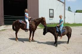 Image result for Old Park Riding Stables