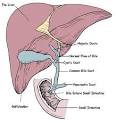 <b>Biliary Tract</b> Disease