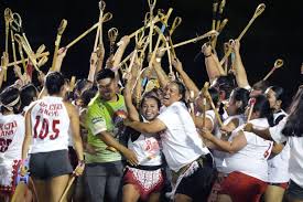 Image result for Wonersh Stoolball Club