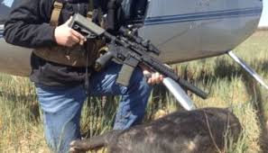 Картинки по запросу 338 Spectre rifle