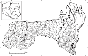 Attēlu rezultāti vaicājumam “Fellhanera subtilis”