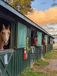 Image result for Old Park Riding Stables