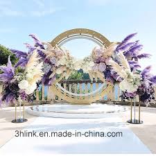 Attēlu rezultāti vaicājumam “Phragmites communis flower”