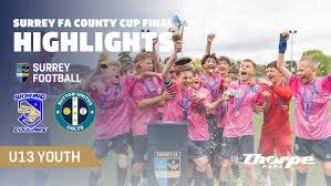 Image result for Oxted & District Junior Fc