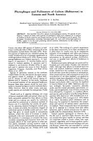 Attēlu rezultāti vaicājumam “Geocrypta galii”