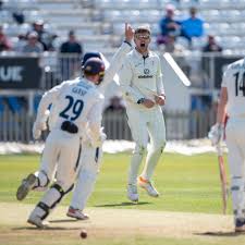 Image result for Lewdown Cricket Club