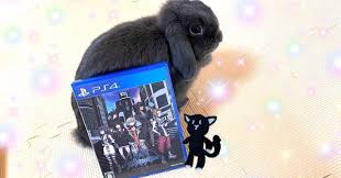 「北虹寵 すばらしきこのせかい」の画像検索結果