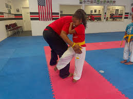 Image result for David Fuller Karate