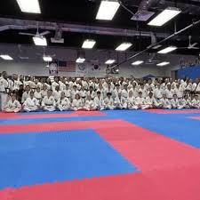 Image result for Valentin Karate