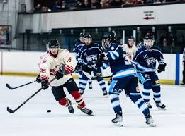 Image result for Solihull Recreational Ice Dancing Club