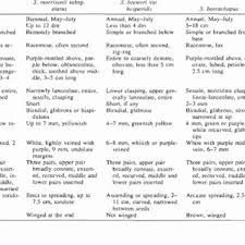Attēlu rezultāti vaicājumam “Scardia boletella pupa”