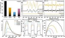 Scrutinizing the role of tunable carbon vacancies in g-C3N4 ...