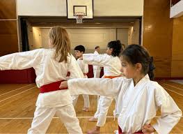 Image result for Highgate Martial Arts Academy