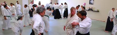 Image result for Matlock Aikido Club