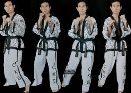 Image result for southern academy choi kwang do
