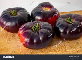 Afbeeldingsresultaat voor purple calabash tomato