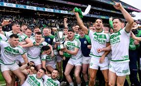 Image result for Shamrocks Hurling & Football Club