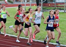 Image result for Hercules Wimbledon A C