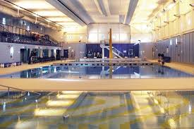 Image result for Stevenage Swimming Club