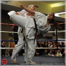 Image result for Chikara Dojo Of Kyokushin Karate