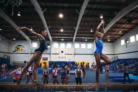 Image result for York University Gymnastics Club