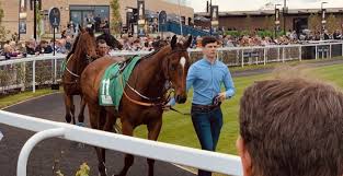 Image result for Dinnington Racing Club