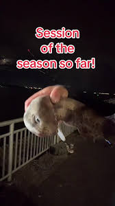 Image result for Cheadle Angling Club