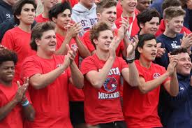 Image result for St Rita`s Camogie Club