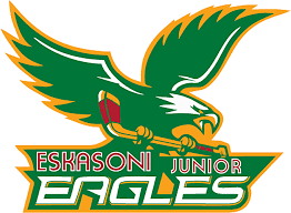 Image result for Junior Eagles Fc