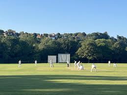 Image result for Bolney Cricket Club