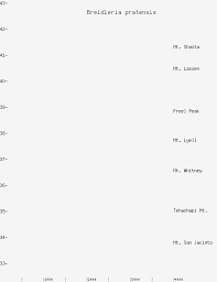 Attēlu rezultāti vaicājumam “Breidleria pratensis”