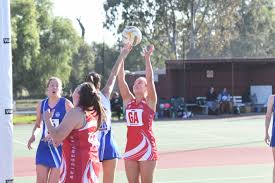 Image result for Bridgewater Netball Club