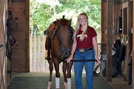 Image result for South Weylands Equestrian