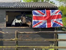 Image result for Palmers Riding Stables