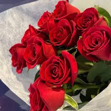 「篠田千晶」の画像検索結果