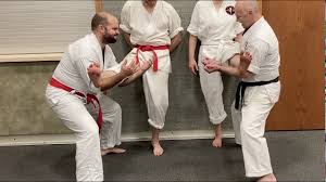 Image result for Reading Karate-Do Shotokai