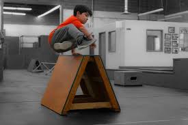 Image result for Les Voleurs Parkour Club
