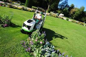 Image result for etesia tehron