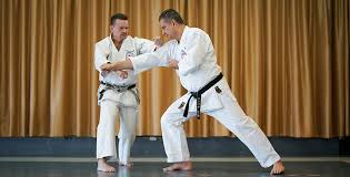 Image result for Thatcham Wado Karate Club
