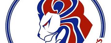 Image result for Phoenix Royals F C