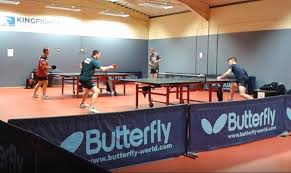 Image result for Kingfisher Badminton Club