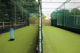 Image result for All Cannings Cricket Club