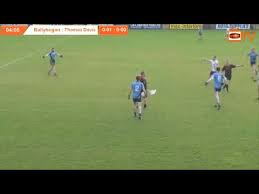 Image result for Ballyhegan Davitts Gaa Club