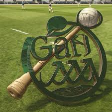 Image result for Sean Treacy`s Hurling Club