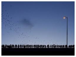 Image result for epl1 20mm night site:flickr.com