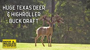 Image result for Big Bucks High Rollers