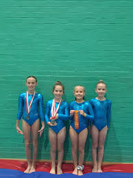 Image result for Uckfield Gymnastics Club