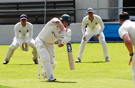 Image result for Chard Cricket Club