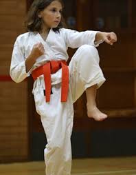 Image result for Loughton Wado-Kai Karate Club