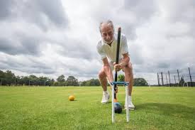 Image result for Royal Tunbridge Wells Croquet Club